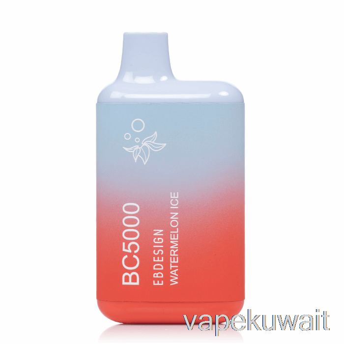 مجموعات جراب Vape البطيخ المثلج القابل للتصرف BC5000